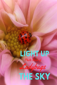 Light Up the Sky Photo Book of Ladybugs