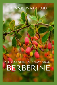 All You Need to Know about Berberine