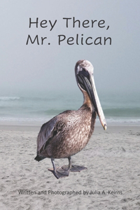 Hey There, Mr. Pelican