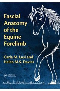 Fascial Anatomy of the Equine Forelimb