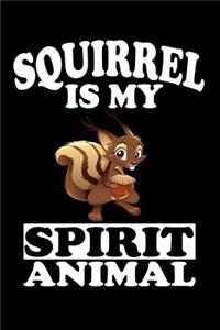 Squirrel Is My Spirit Animal