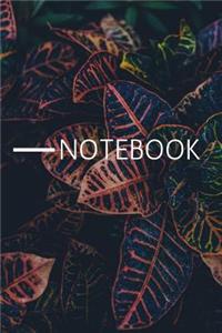 Notebook