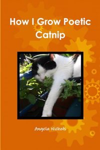 How I Grow Poetic Catnip