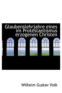 Glaubenslehrjahre Eines Im Protestantismus Erzogenen Christen