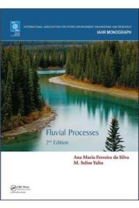 Fluvial Processes