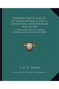 Common Native Insects Of South Australia, Part 2, Lepidoptera, Or Butterflies And Moths