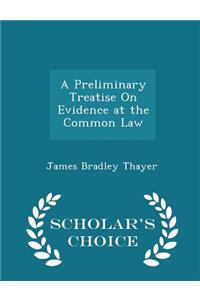 A Preliminary Treatise on Evidence at the Common Law - Scholar's Choice Edition
