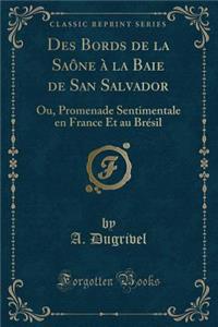 Des Bords de la Saï¿½ne ï¿½ La Baie de San Salvador: Ou, Promenade Sentimentale En France Et Au Brï¿½sil (Classic Reprint)