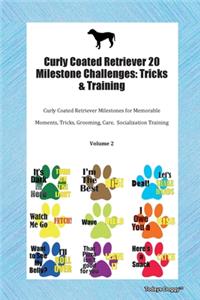 Curly Coated Retriever 20 Milestone Challenges