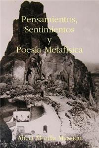 Pensamientos, Sentimientos y Poesia Metafisica