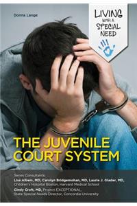 The Juvenile Court System