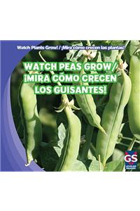 Watch Peas Grow / ¡Mira Cómo Crecen Los Guisantes!