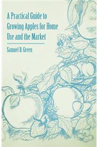 Practical Guide to Growing Apples for Home Use and the Market