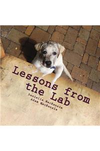 Lessons from the Lab: 26 Life Lessons You Can Learn from a Dog...A to Z
