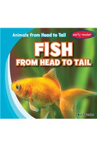Fish from Head to Tail