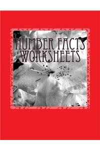 Number Facts Worksheets