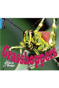 Grasshoppers