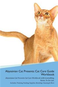 Abyssinian Cat Presents
