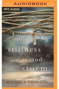 Of Stillness and Storm