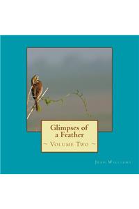 Glimpses of a Feather - Volume Two