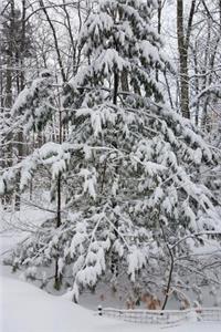 Woods After Snowstorm Winter Weather Journal