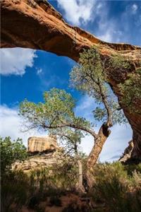 Sipapu Bridge in Utah Journal