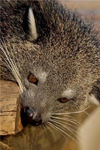Cool Binturong Bearcat Animal Portrait Journal