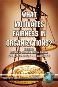 What Motivates Fairness in Organizations (PB)