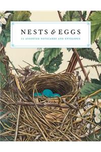 Nests and Eggs Notecards