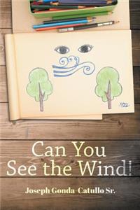 Can You See The Wind!