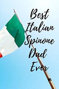 Best Italian Spinone Dad Ever