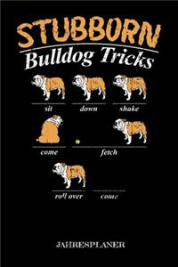 Stubborn Bulldog Tricks Jahresplaner