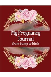 My pregnancy journal from bump to birth