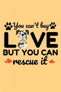 You Can't Buy Love But You can Rescue it