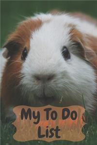 My To Do List