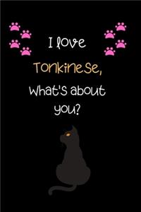 I love tonkinese, What's about you?