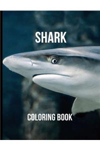 Shark Coloring Book: Coloring Toy Gifts for Kids, Toddlers or Adult Relaxation - Large Print Ocean Animals Birthday Party Favors Gifts Made in USA