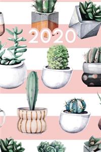 2020