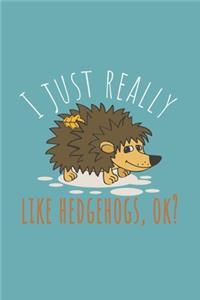 I Just Really Like Hedgehogs, ok?