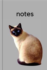 Cat Journal