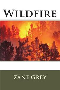 Wildfire