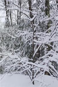 2019 Weekly Planner Winter Scenic Snowy Forest 134 Pages