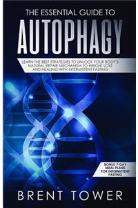 Essential Guide to Autophagy