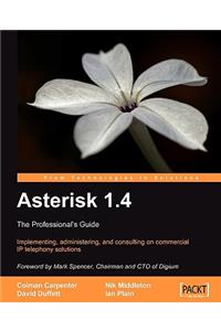 Asterisk 1.4 - the Professional's Guide