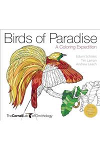 Birds of Paradise – A Coloring Expedition