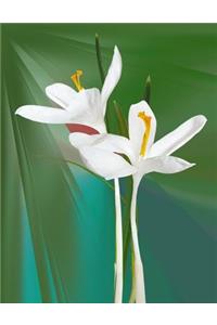 Lily Notebook