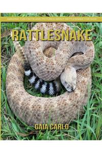 Rattlesnake