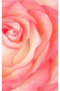 Pink Rose Mini Notebook