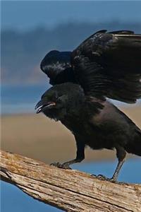 Raven Notebook