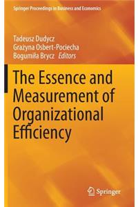 Essence and Measurement of Organizational Efficiency